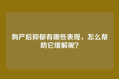 狗产后抑郁有哪些表现,怎么帮助它缓解呢?