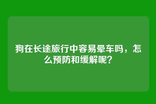 狗在长途旅行中容易晕车吗,怎么预防和缓解呢?