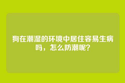 狗在潮湿的环境中居住容易生病吗，怎么防潮呢？