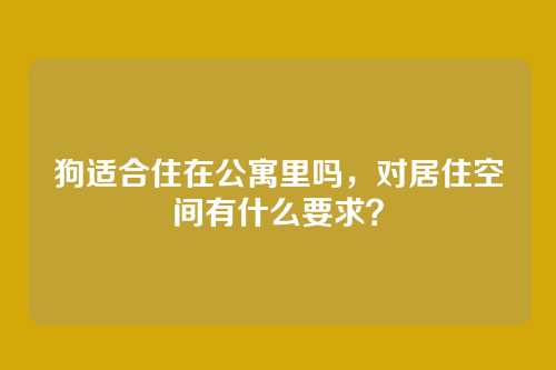 狗适合住在公寓里吗，对居住空间有什么要求？