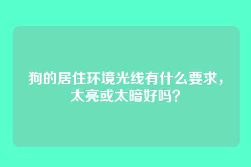 狗的居住环境光线有什么要求,太亮或太暗好吗?