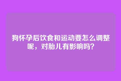 狗怀孕后饮食和运动要怎么调整呢，对胎儿有影响吗？