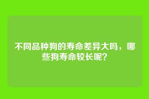 不同品种狗的寿命差异大吗,哪些狗寿命较长呢?