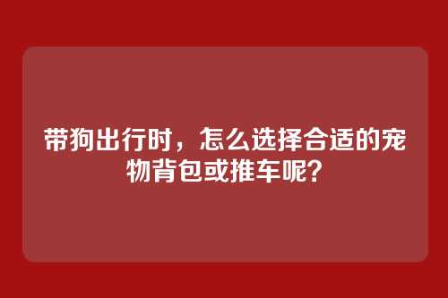 带狗出行时,怎么选择合适的宠物背包或推车呢?