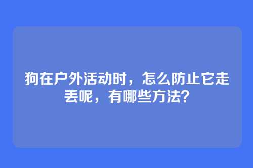狗在户外活动时，怎么防止它走丢呢，有哪些方法？