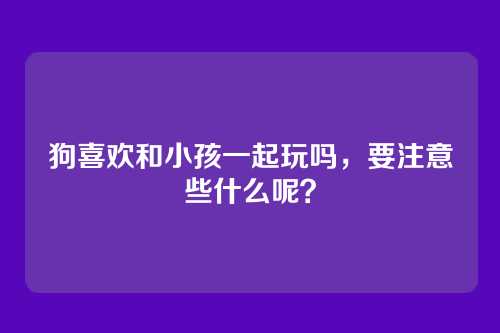 狗喜欢和小孩一起玩吗，要注意些什么呢？