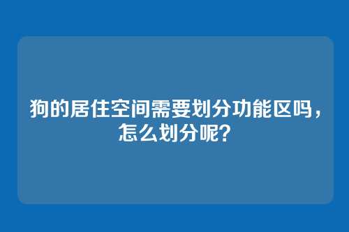 狗的居住空间需要划分功能区吗，怎么划分呢？