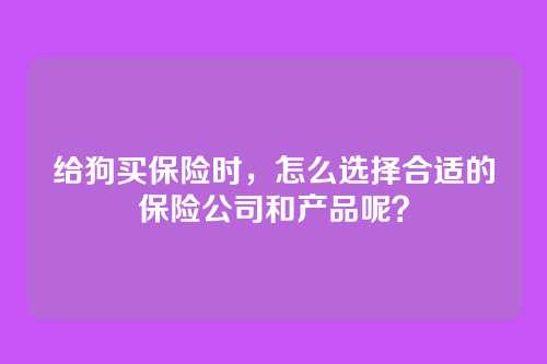 给狗买保险时，怎么选择合适的保险公司和产品呢？