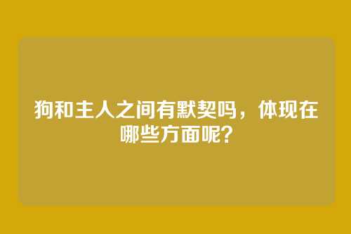 狗和主人之间有默契吗，体现在哪些方面呢？