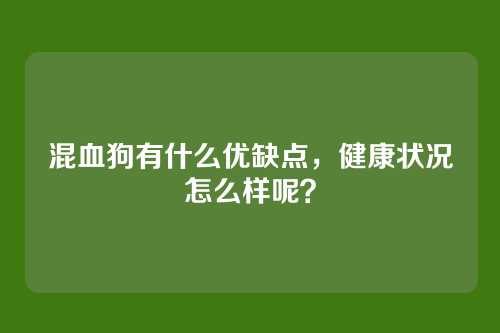 混血狗有什么优缺点，健康状况怎么样呢？