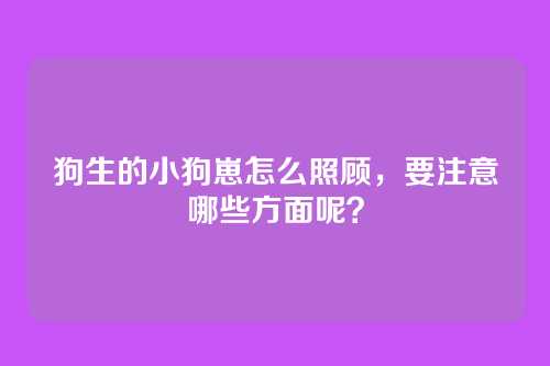 狗生的小狗崽怎么照顾，要注意哪些方面呢？