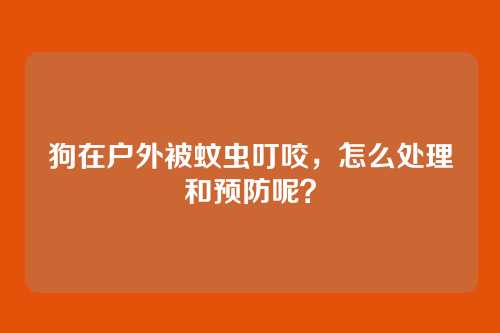 狗在户外被蚊虫叮咬，怎么处理和预防呢？
