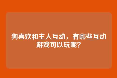 狗喜欢和主人互动，有哪些互动游戏可以玩呢？