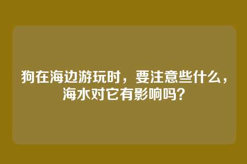 狗在海边游玩时，要注意些什么，海水对它有影响吗？