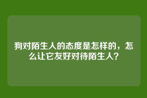 狗对陌生人的态度是怎样的,怎么让它友好对待陌生人?