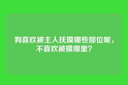 狗喜欢被主人抚摸哪些部位呢,不喜欢被摸哪里?