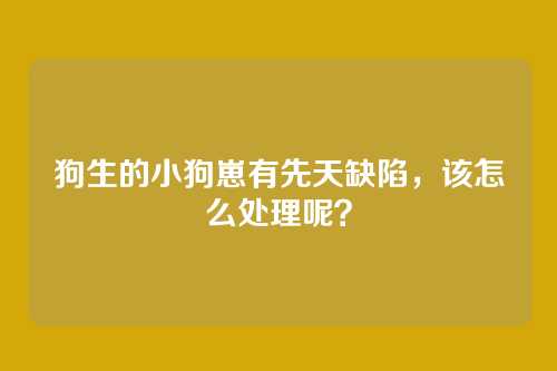 狗生的小狗崽有先天缺陷，该怎么处理呢？