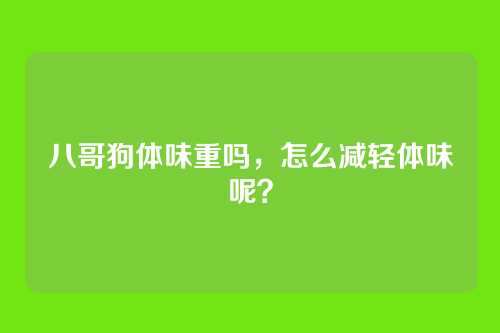 八哥狗体味重吗,怎么减轻体味呢?