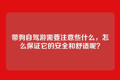 带狗自驾游需要注意些什么,怎么保证它的安全和舒适呢?