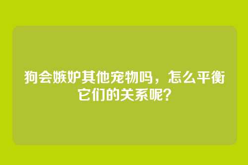 狗会嫉妒其他宠物吗，怎么平衡它们的关系呢？