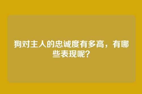 狗对主人的忠诚度有多高，有哪些表现呢？