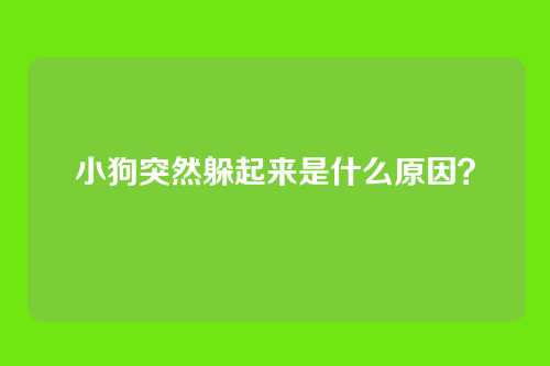 小狗突然躲起来是什么原因？