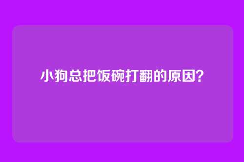 小狗总把饭碗打翻的原因？