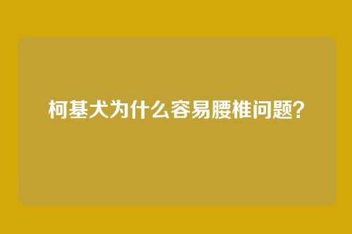 柯基犬为什么容易腰椎问题?