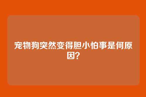 宠物狗突然变得胆小怕事是何原因?