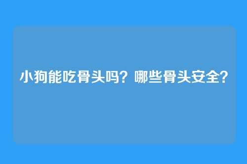 小狗能吃骨头吗？哪些骨头安全？