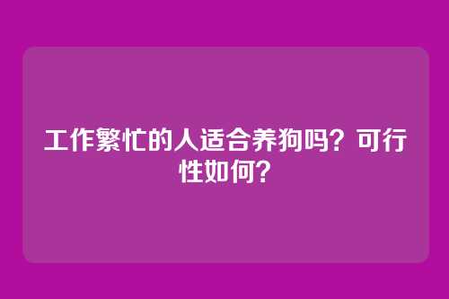 工作繁忙的人适合养狗吗？可行性如何？