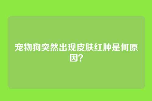 宠物狗突然出现皮肤红肿是何原因?