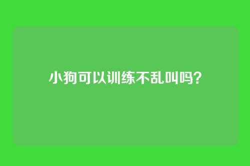 小狗可以训练不乱叫吗?