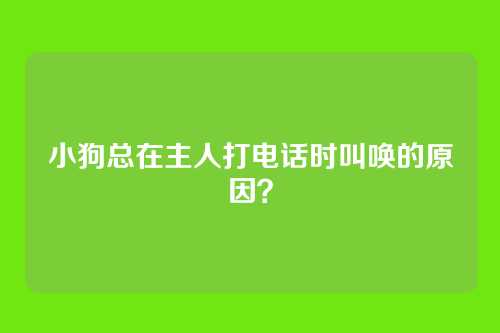 小狗总在主人打电话时叫唤的原因？