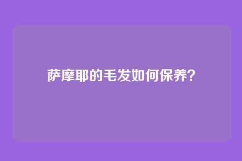 萨摩耶的毛发如何保养?