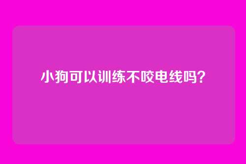小狗可以训练不咬电线吗?