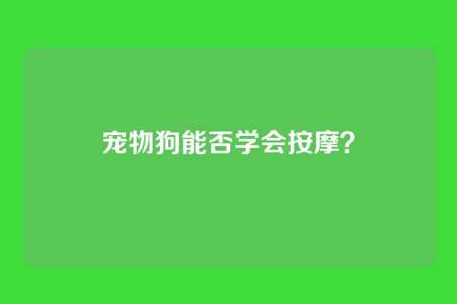 宠物狗能否学会按摩？