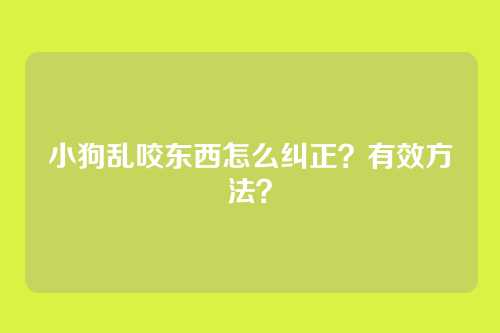 小狗乱咬东西怎么纠正？有效方法？