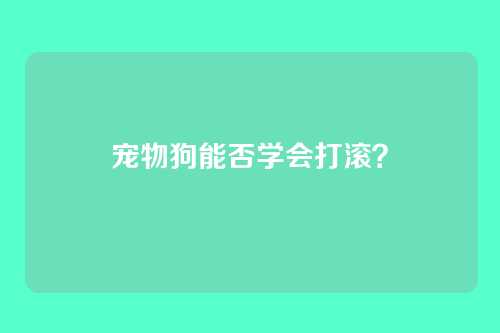 宠物狗能否学会打滚？