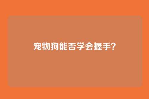 宠物狗能否学会握手？