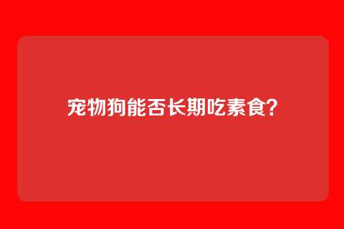 宠物狗能否长期吃素食？