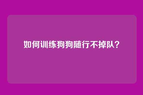 如何训练狗狗随行不掉队?