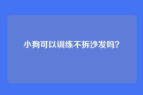 小狗可以训练不拆沙发吗？