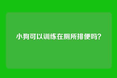 小狗可以训练在厕所排便吗？