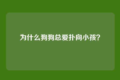 为什么狗狗总爱扑向小孩？