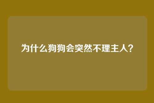 为什么狗狗会突然不理主人?