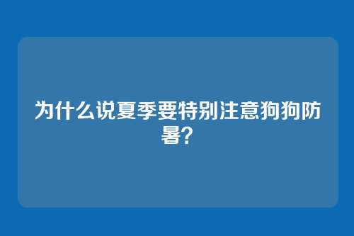 为什么说夏季要特别注意狗狗防暑?