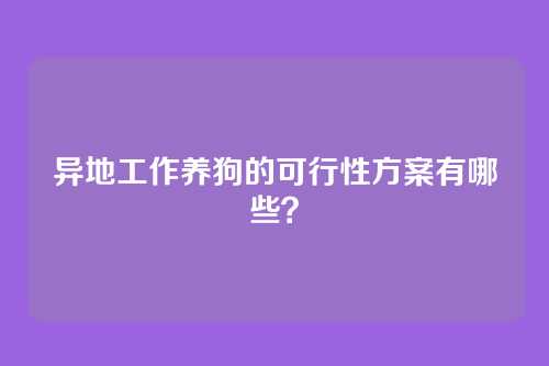 异地工作养狗的可行性方案有哪些?