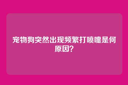 宠物狗突然出现频繁打喷嚏是何原因?