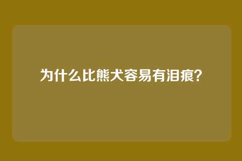 为什么比熊犬容易有泪痕?